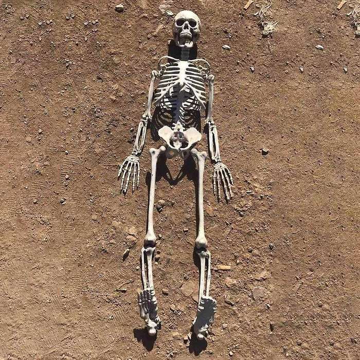 Halloween Party Bar Haunted House Props Durable Simulation Humans Skeleton Ornament Interesting Orna