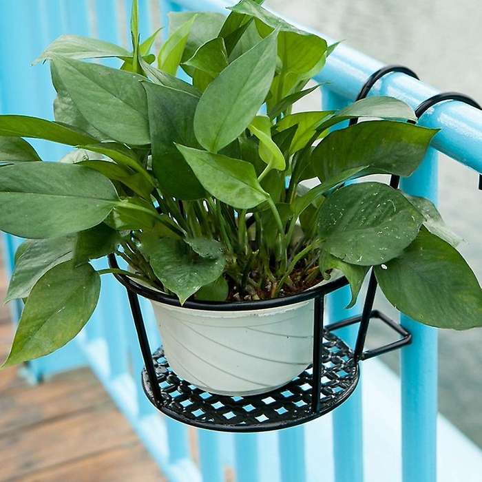 Hanging Orchid Pot Plant Wall Hanging Iron Flower Rack in Balcony Living Room B