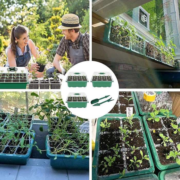 Indoor Greenhouse Cultivation Kit Greenhouse Seedling Tray Small Potted Plants with Gardening Tools