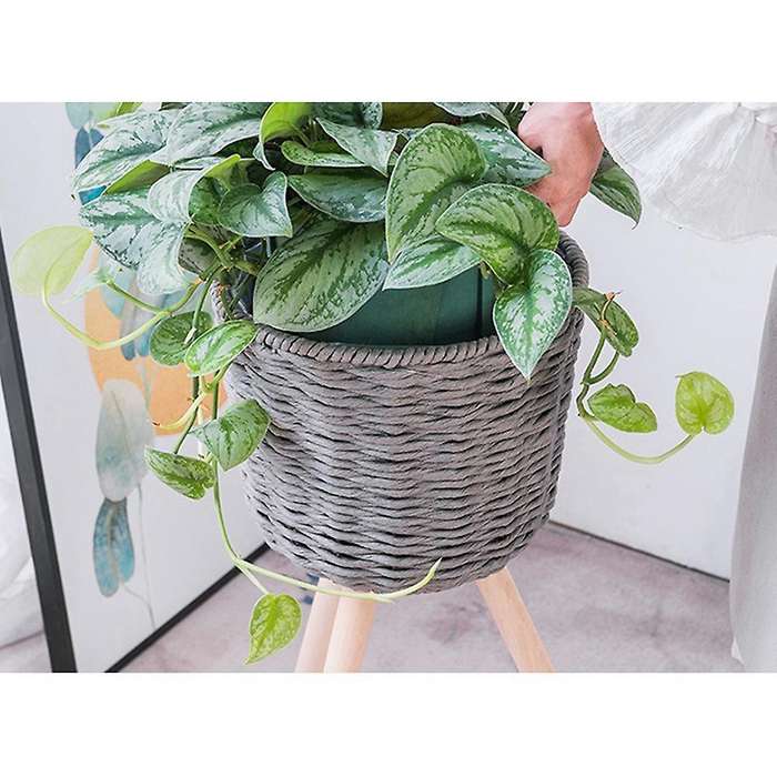 Indoor Flower Stand Flower Stand Living Room Floor Type Simple Modern Balcony Net Red Flower Stand R