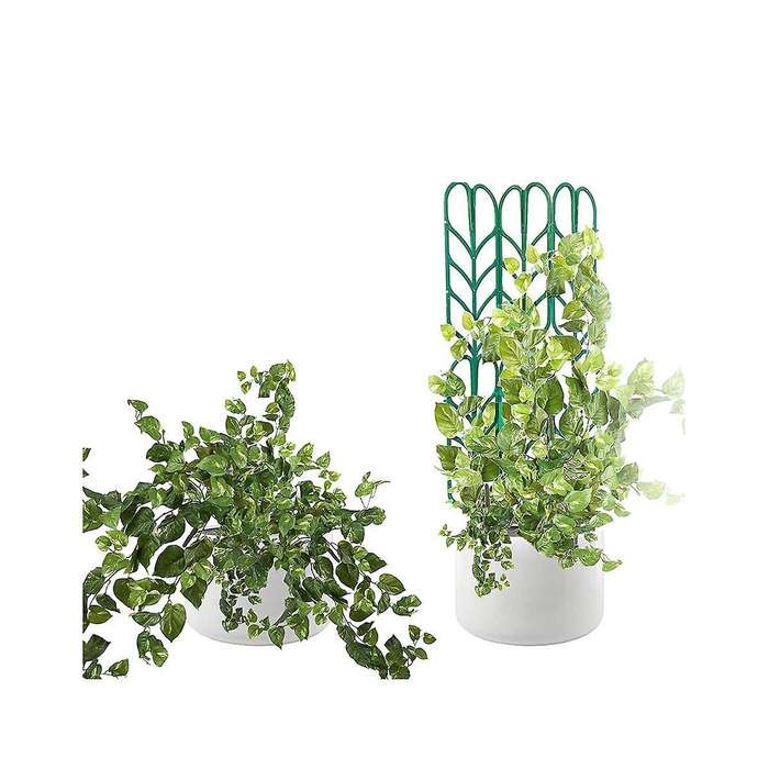 Indoor Plant Trellis, 5 Pack, Climbing Garden Leaf Shape Supports, for Climbing Stems Stalks & Vine