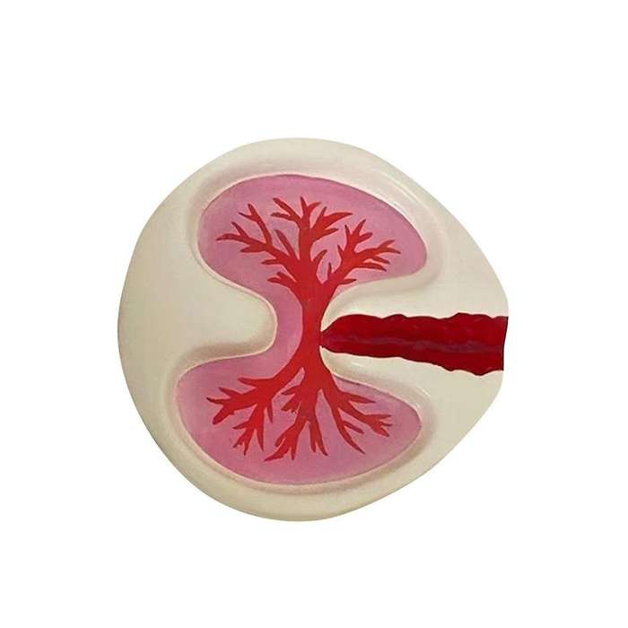 Lung Shape Ashtray Tray Red Funny Ashtray Desktop Home Decoration Handmake Ornaments Decor Birthday