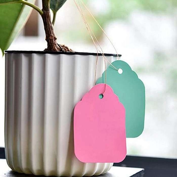 Tags with String Plastic Plant Labels for Gardening Jewelry Clothing