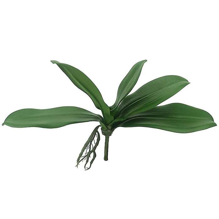 5 Pcs Artificial Green Orchid Leaf for Flowers Garden Decor