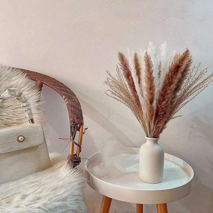 75pcs Dried Pampas Grass Decor, 17.5inch Dry Flowers