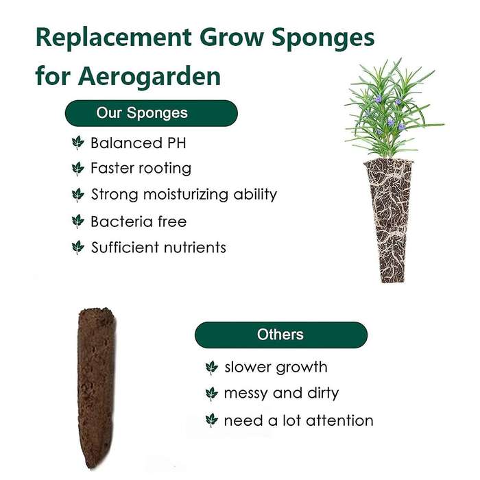 Plant Growing Plugs Sponges for Hydroponic Plants Growth, Pack Of 50