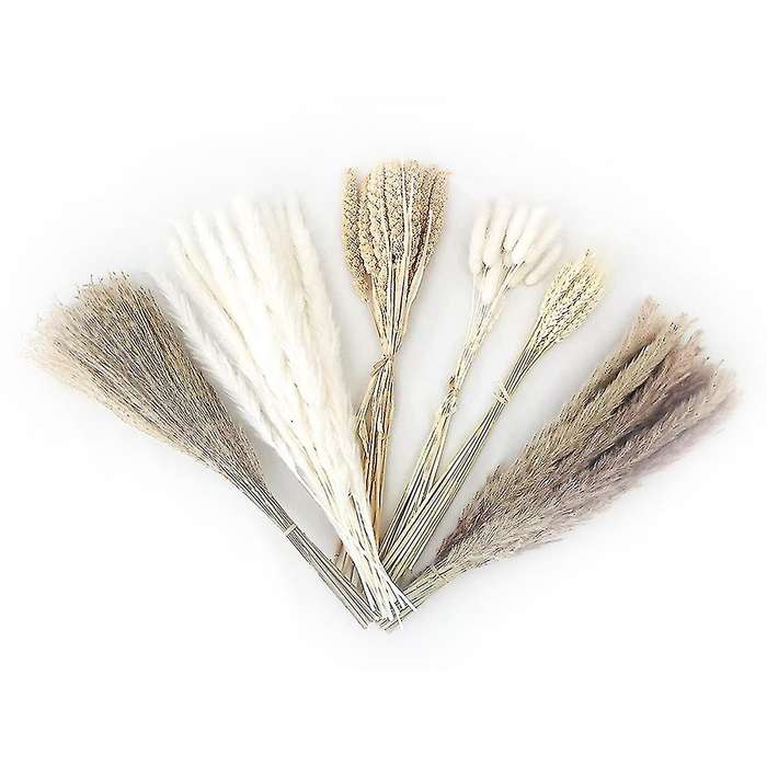 100 Pcs Natural Dried Pampas Grass Decor, 17inch Pompas Floral