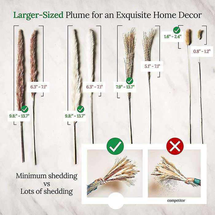 Dried Pampas Grass Decor - 75-pack Natural Pompous Grass 17inch