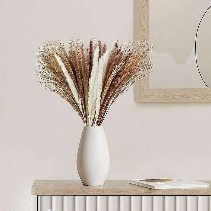 60 Pcs Natural Dried Pampas Grass, Dried Pompous Grass, 3 Kinds