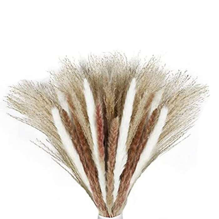 60 Pcs Natural Dried Pampas Grass, Dried Pompous Grass, 3 Kinds
