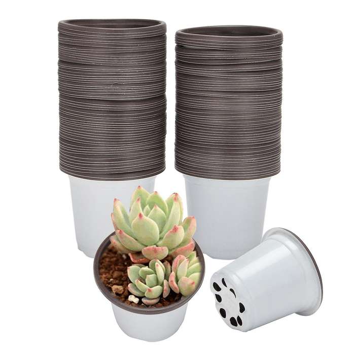 Flower Seedling Starter Pots for Little Garden Pots to Repot (100pcs)