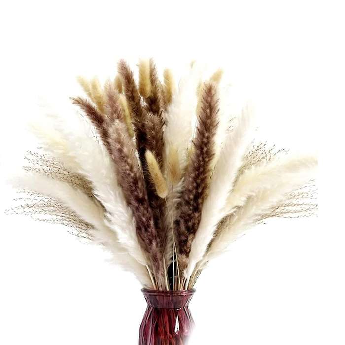 Natural Dried Pampas Grass, 65pcs Pampas Grass Decor, for Home Decor