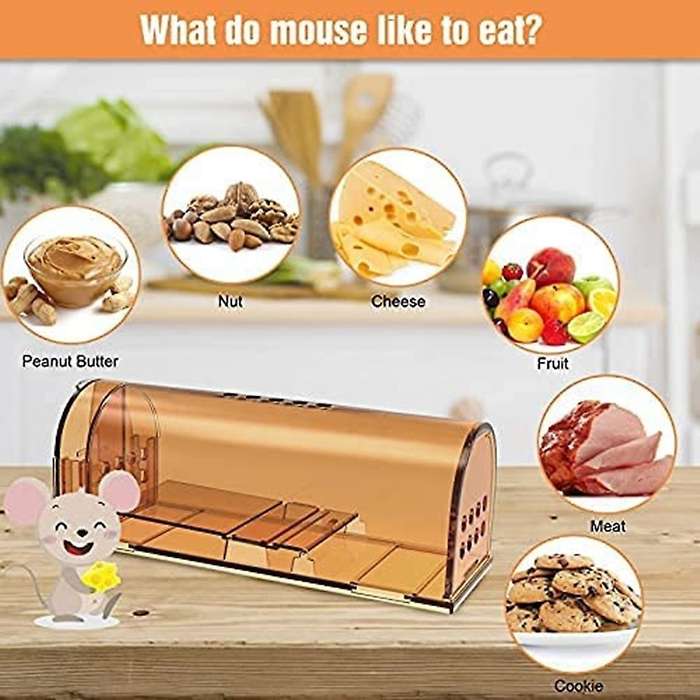 2pcs Humane Mouse Traps Catch &release That Work for House,small Mice
