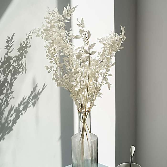 45cm Dried Forever Preserved Ruscus Flowers Diy for Home Decor