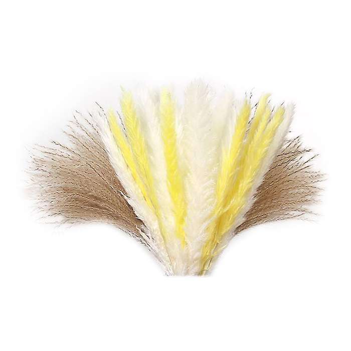 60pcs Natural Dried Pampas Grass for Floral Arrangements, Home Decor