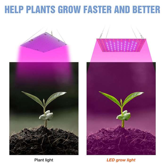 Led Grow Lights with Red Blue Spectrum Hydroponic Seeding Eu Plug