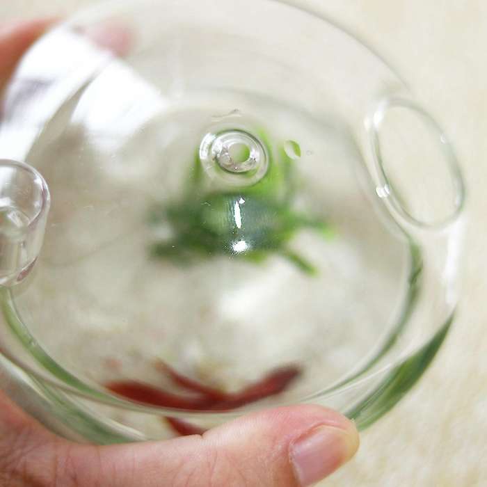 Mushroom-shaped Hanging Glass Planter Vase Rumble Fish Tank