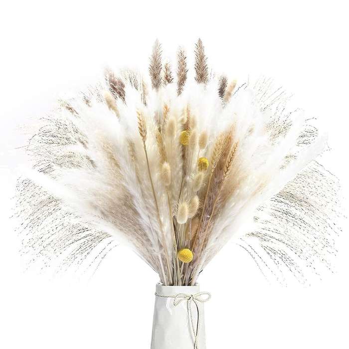 Brown Pampas Reed Grass Natural Dried Bouquet for Home Decor Boho