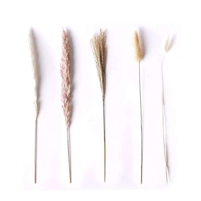 Natural Dried Pampas Grass - 85pcs Boho Home Decor Dried Flowers