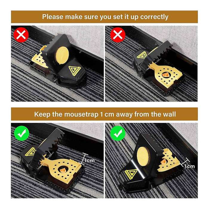 Mouse Trap, Professional Mouse Traps, Reusable Mouse Trap