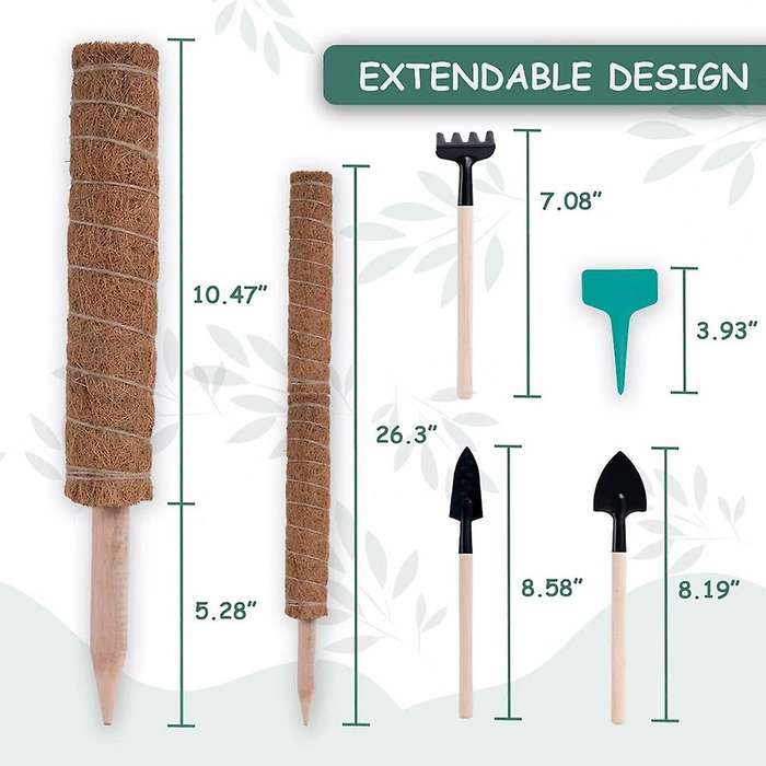 Moss Poles for Climbing Plants,garden Tools,labels with Moss Sticks