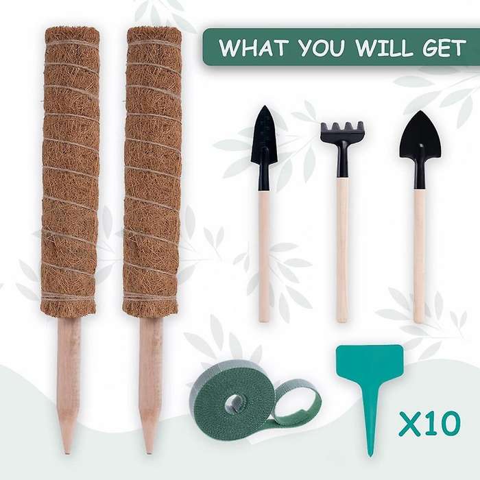 Moss Poles for Climbing Plants,garden Tools,labels with Moss Sticks