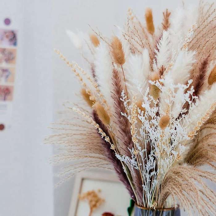 Pampas Grass 90pcs Natural Dried Flowers-for Home and Room Decor