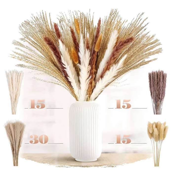 Natural Pampas Grass Dried Flowers for Flowers Arrangements Decor