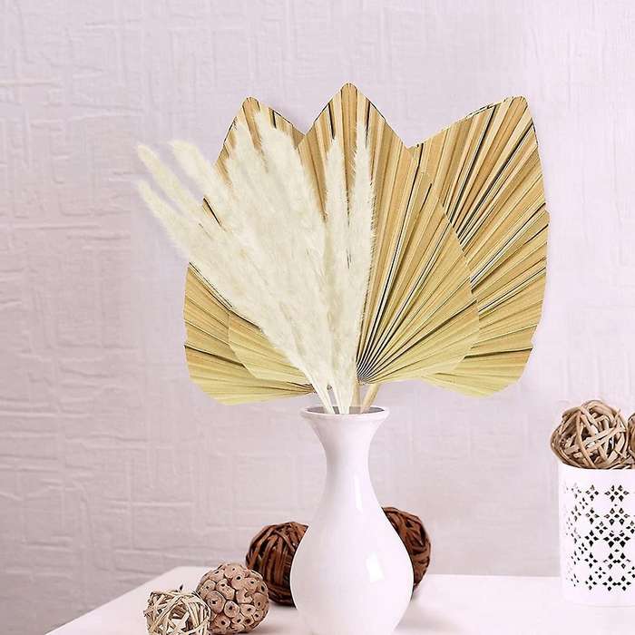 Dried Papapas Grass Decor Bouquet,dried Palm Leaves for Home Decor