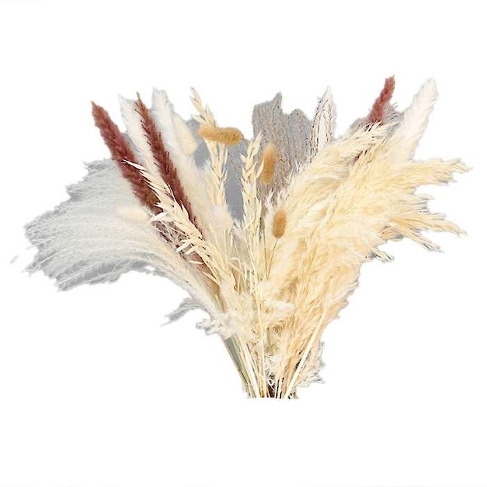30pcs Dried Reed Small Pampas Flowers Artificial Banquet Decoration