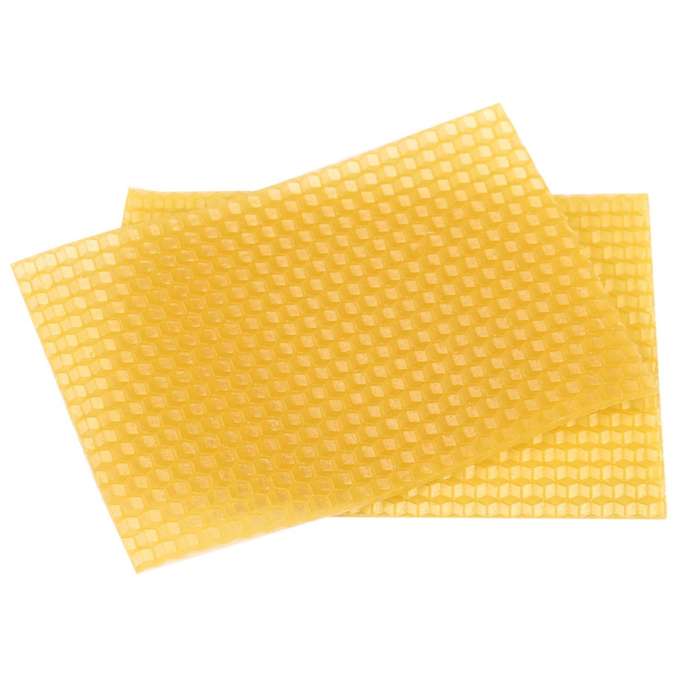 50pcs Beekeeping Hive Beekeeping Honeycomb Foundation Frame Tools