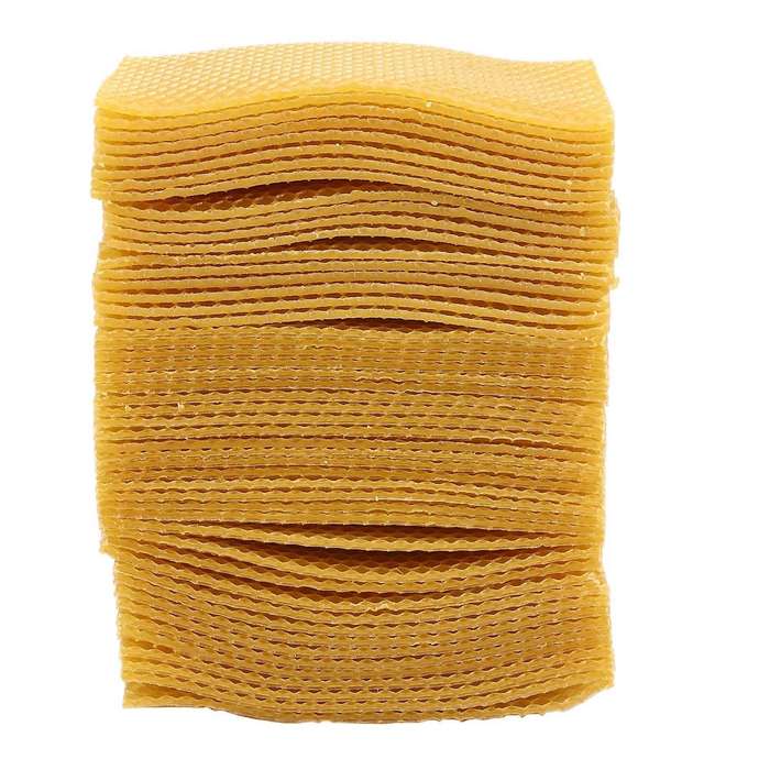 50pcs Beekeeping Hive Beekeeping Honeycomb Foundation Frame Tools