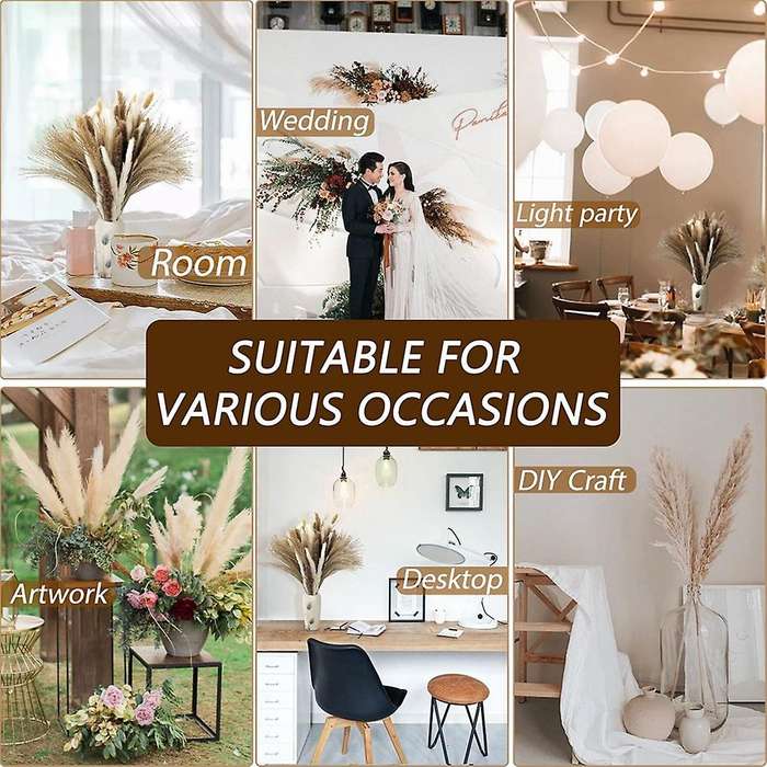 110 Pcs Dried Pampas Grass Decor,dried Bouquet for Boho Home Decor