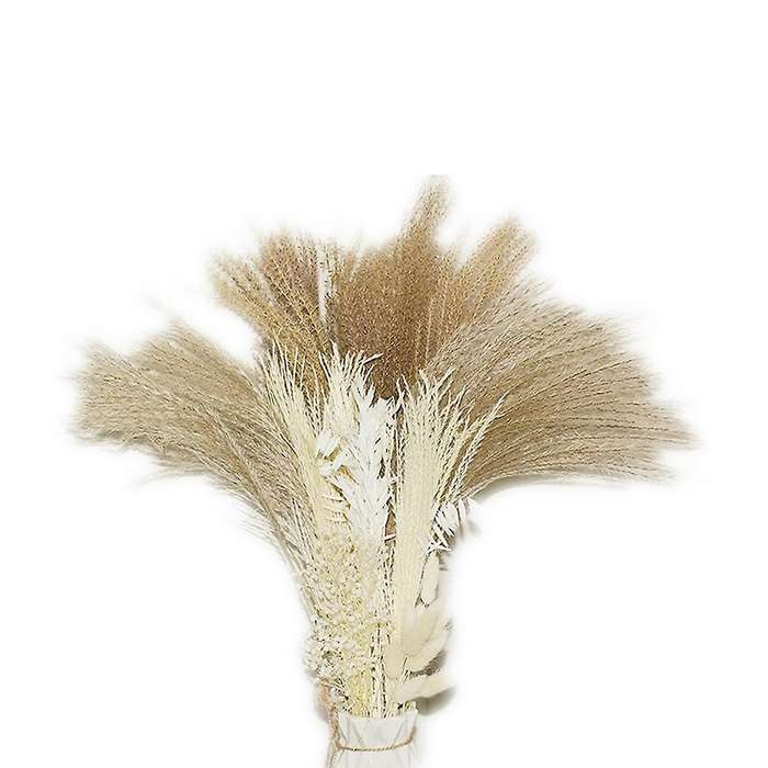 60pcs Natural Dried Pampas Grass Decor 17inch-brown Pampas for Decor