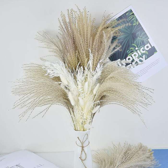 60pcs Natural Dried Pampas Grass Decor 17inch-brown Pampas for Decor