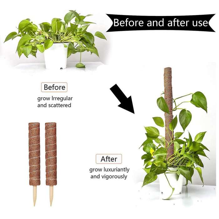 Moss Poles for Climbing Plant Coir with 20m Garden Twist Tie, 4 Pack