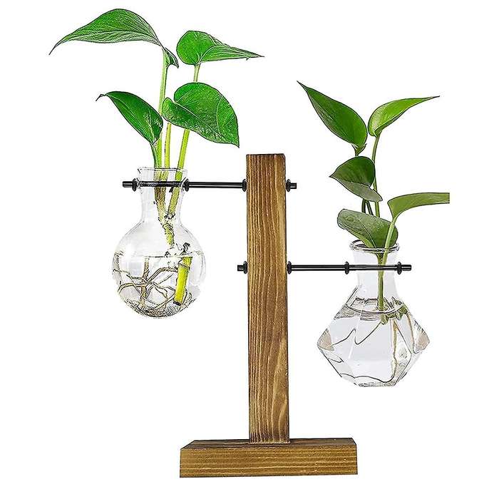 Plant Terrarium with Wooden Stand,desktop Water Planting Glass Vase