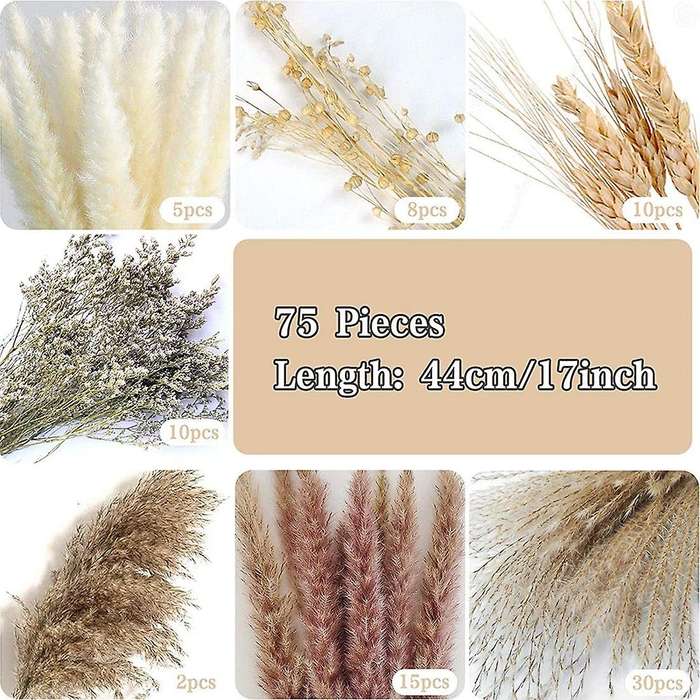 Natural Pampas Grass Decor for Home Decor Wedding Flower Arrangements