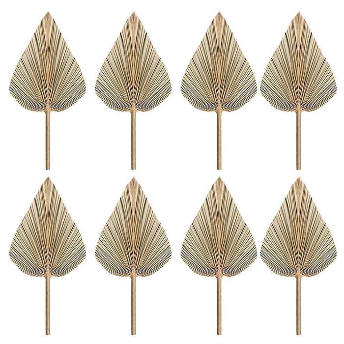 8pcs Dried Palm Leaves Dried Palm Fans Bohemian Tropical Palm Leaves