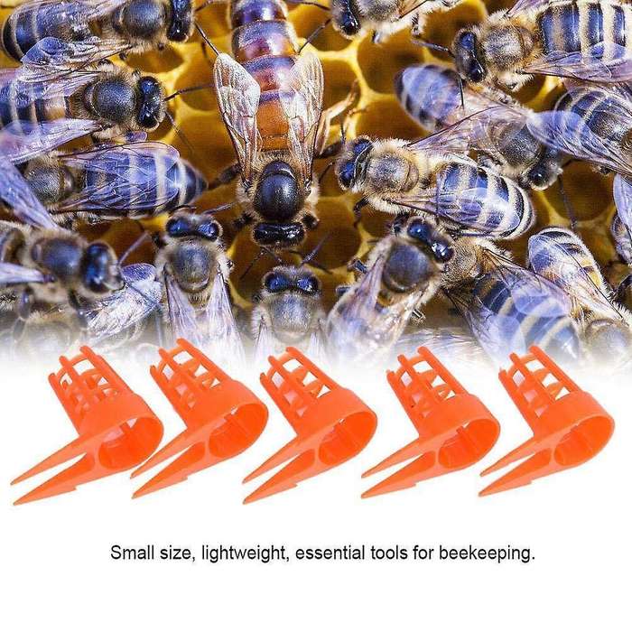 50Pcs Bee Queen Cages Protective Cover Plastic Cages Cell Protection Cap Beekeeping Breeding Suppli