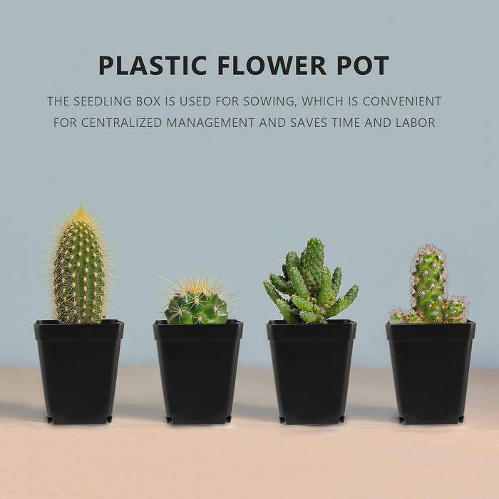 50pcs Mini Plastic Flower Pots for Plant Nursery 7cm X 7cm - Black