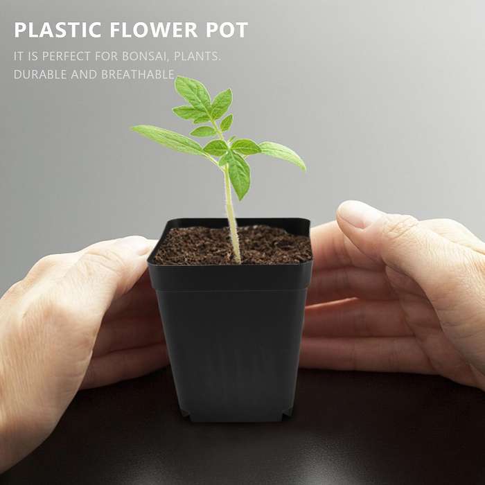 50pcs Mini Plastic Flower Pots for Plant Nursery 7cm X 7cm - Black
