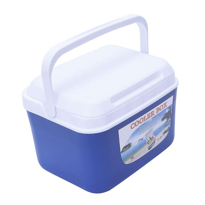 5L Car Insulation Box Outdoor Car Cooler Box Ice Organizer Medicine Preservation Box Home Barbecue F
