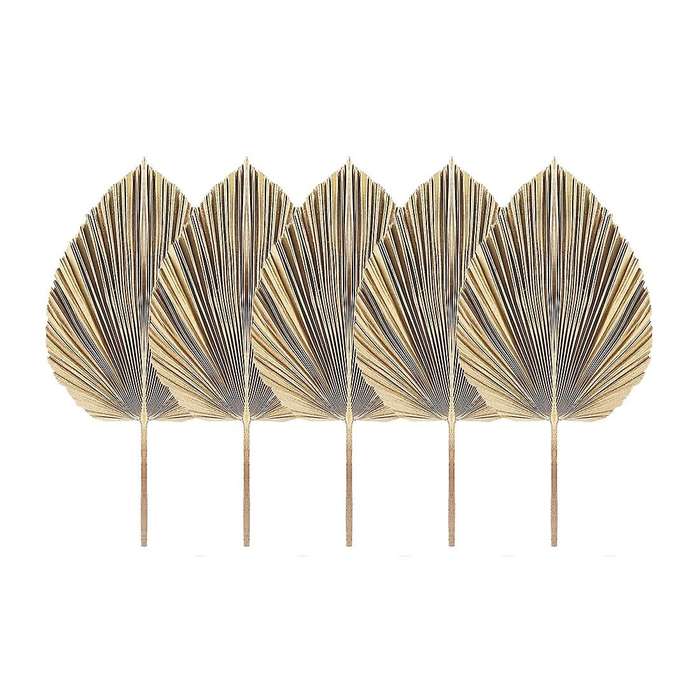 5Pcs Natural Dried Palm Leaves Tropical Dried Palm Fans Boho Dry Leaves Decor Kitchen Wedding