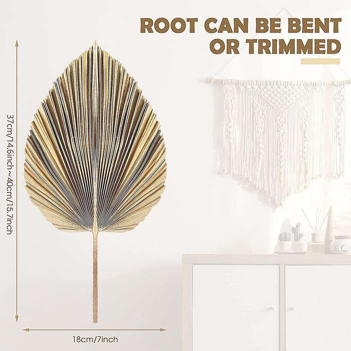 5Pcs Natural Dried Palm Leaves Tropical Dried Palm Fans Boho Dry Leaves Decor Kitchen Wedding