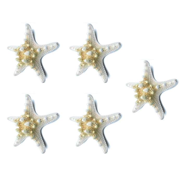 5Pcs/lots crafts white bread sea shell starfish, decorative handicrafts