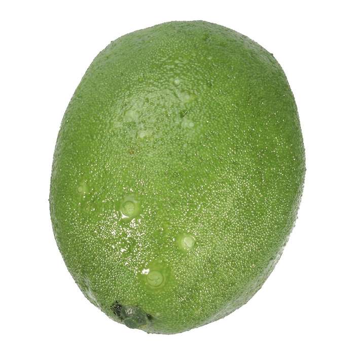 6 x Realistic Lifelike Artificial Plastic Lemon Fruit Food Home Decor