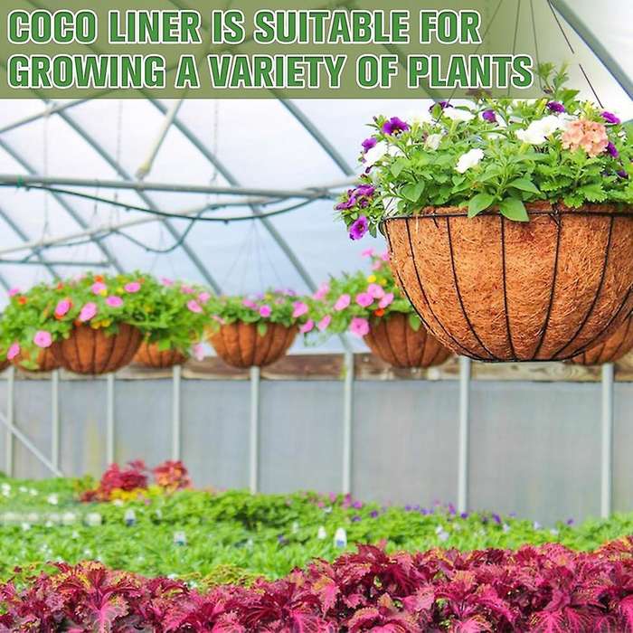 6PCS 10 Inch Natural Coconut Liner Round Coconut Hanging Basket Replacement Liners for Hanging Baske