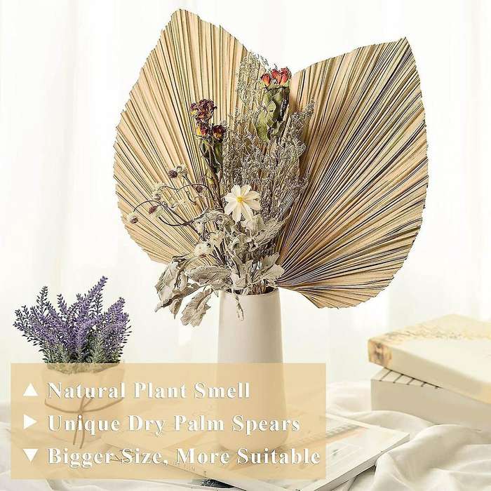 6pcs Natural Tropical Dried Palm Leaves Decoration,boho Trimmed Palm Leaves for Weddings Wall Bedroo