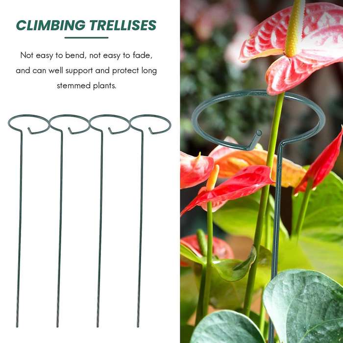 8PCS Beautiful Plant Support Stand Flowers Support Ring Metal Plant Support Stakes Bonsai Support Ba